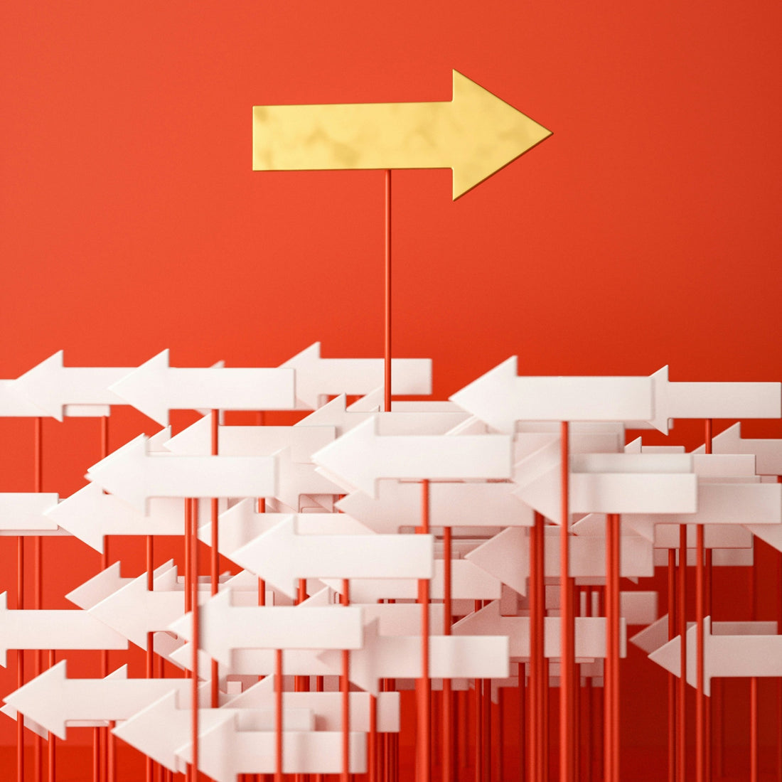 BAĞIRSAKLARINIZIN REHBERİ