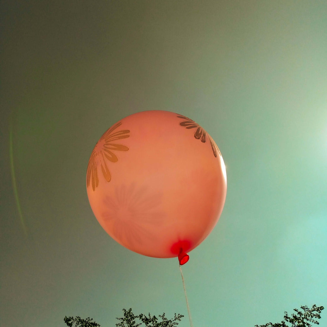 Bakliyatlar ve Gaz Sorunu