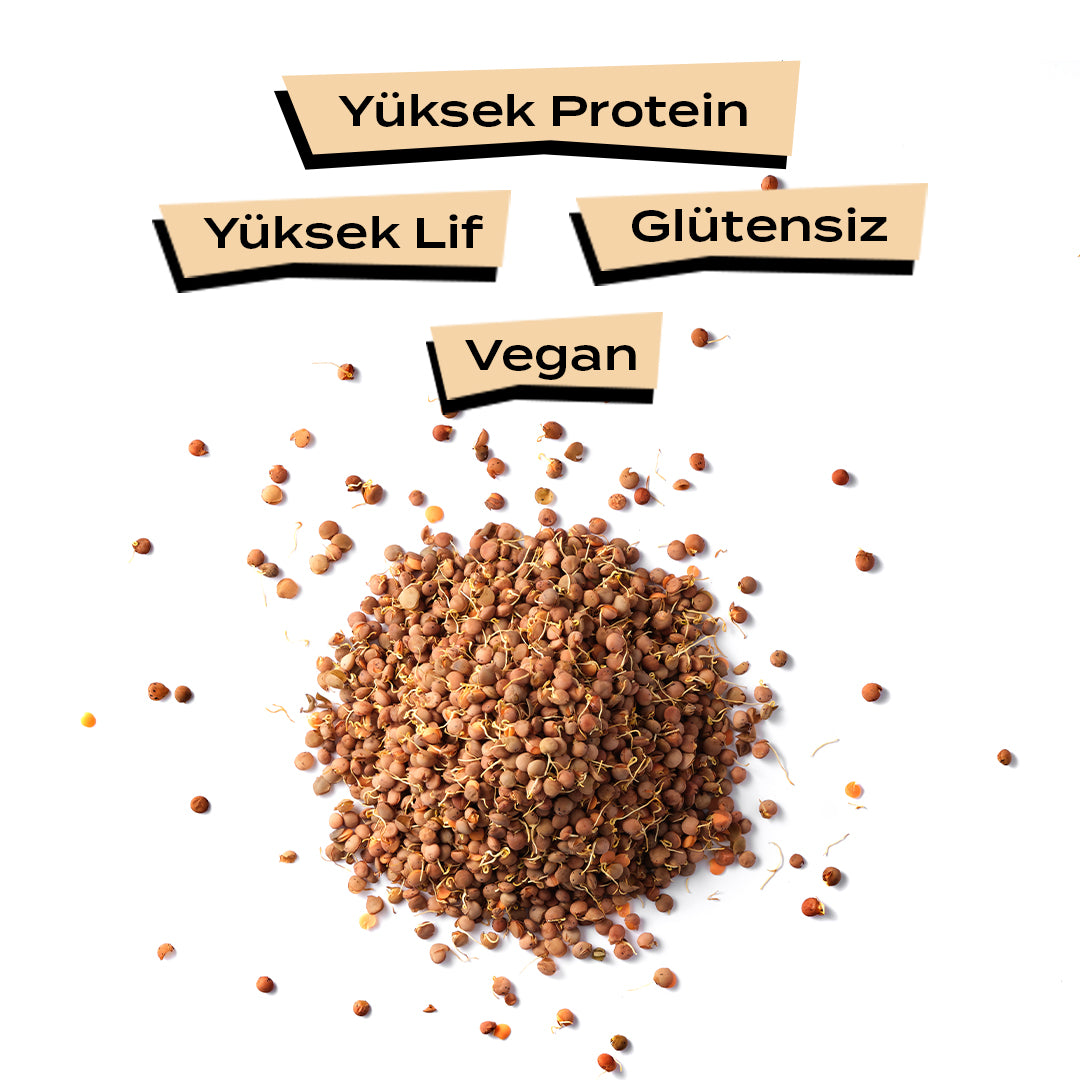 Filizlendirilmiş Kırmızı Mercimek