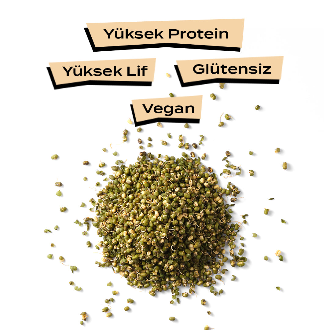 Filizlendirilmiş Maş Fasulyesi