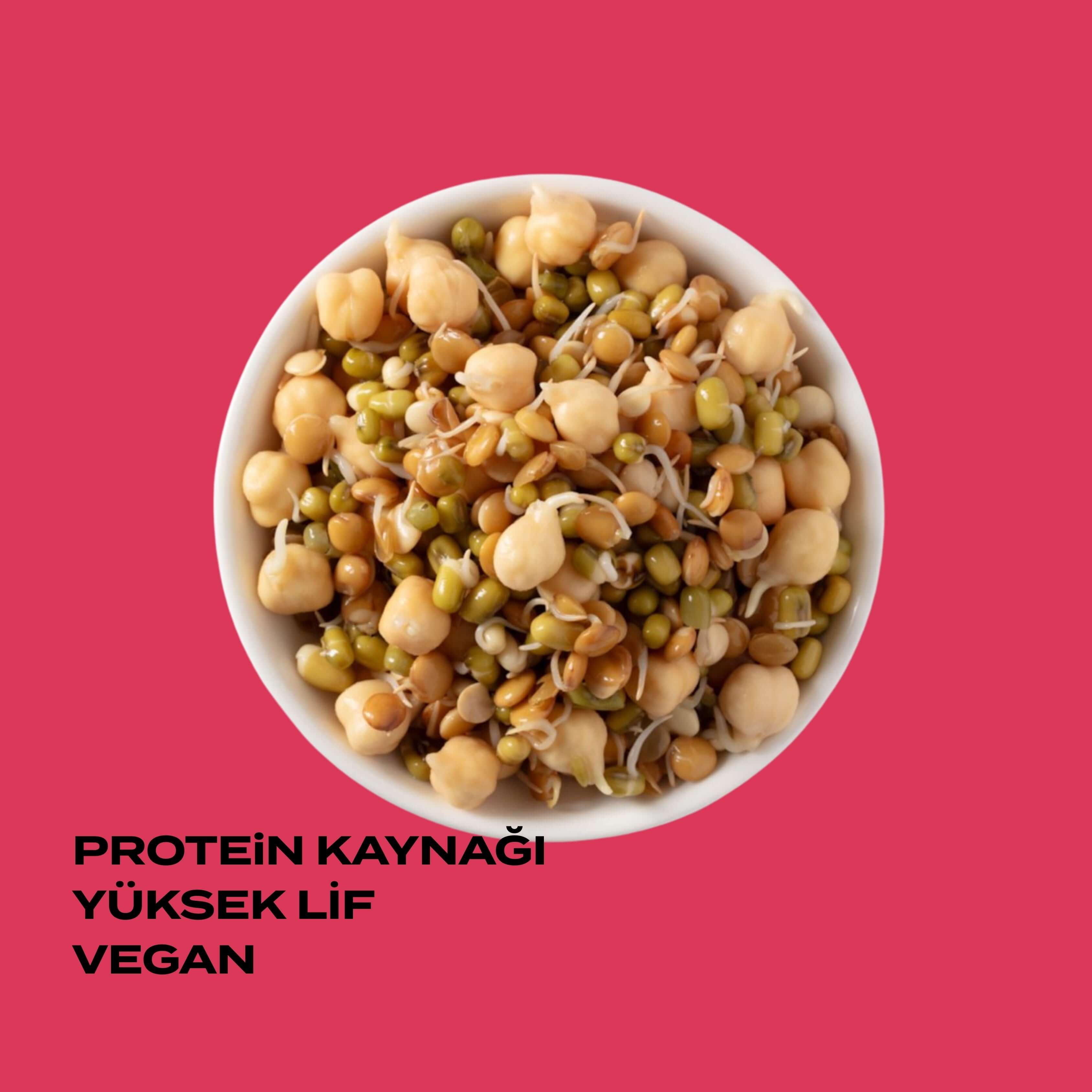 Fermante Pancarlı Salata Miks