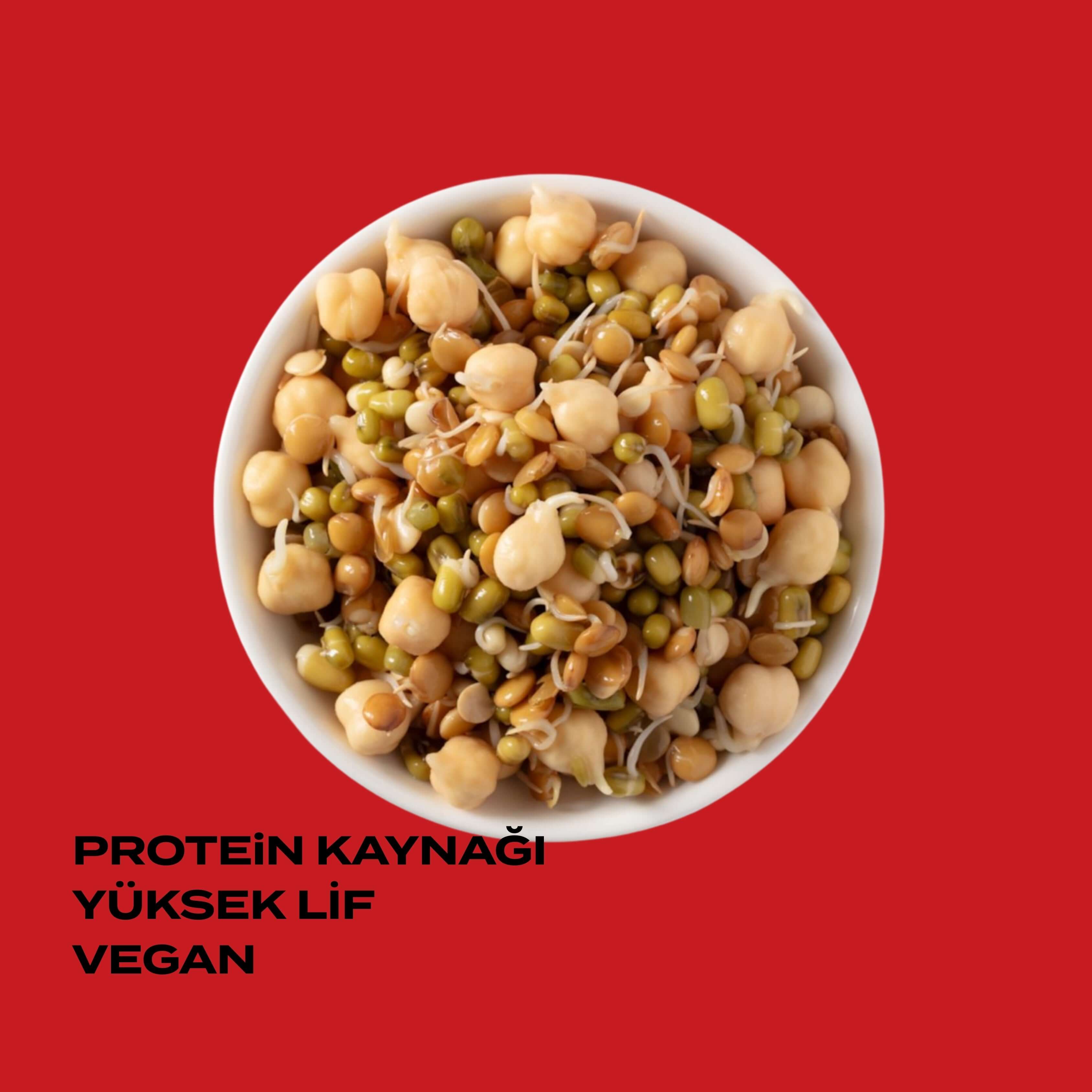 Fermante Acılı Salata Miks