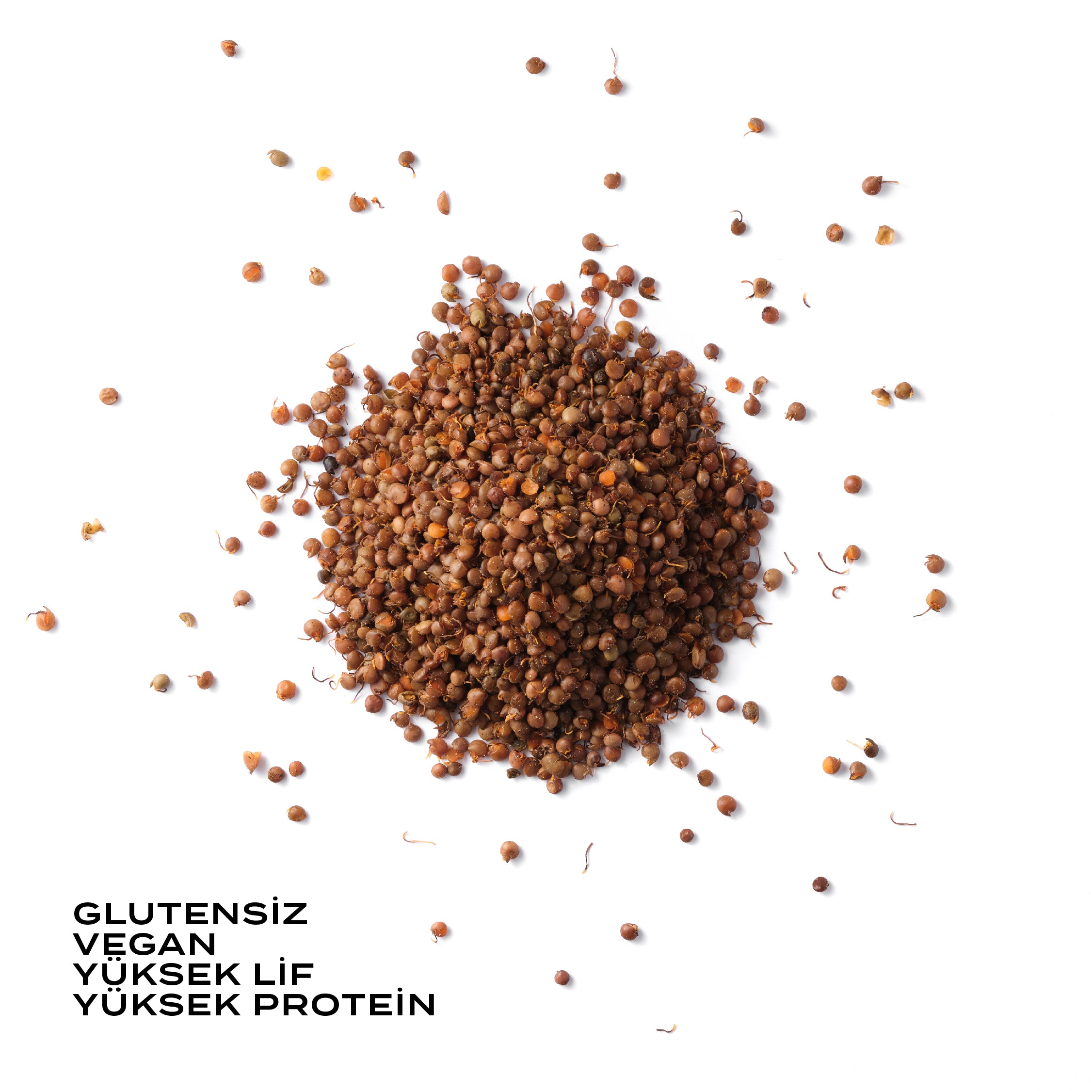 Filizlendirilmiş Çıtır Mercimek