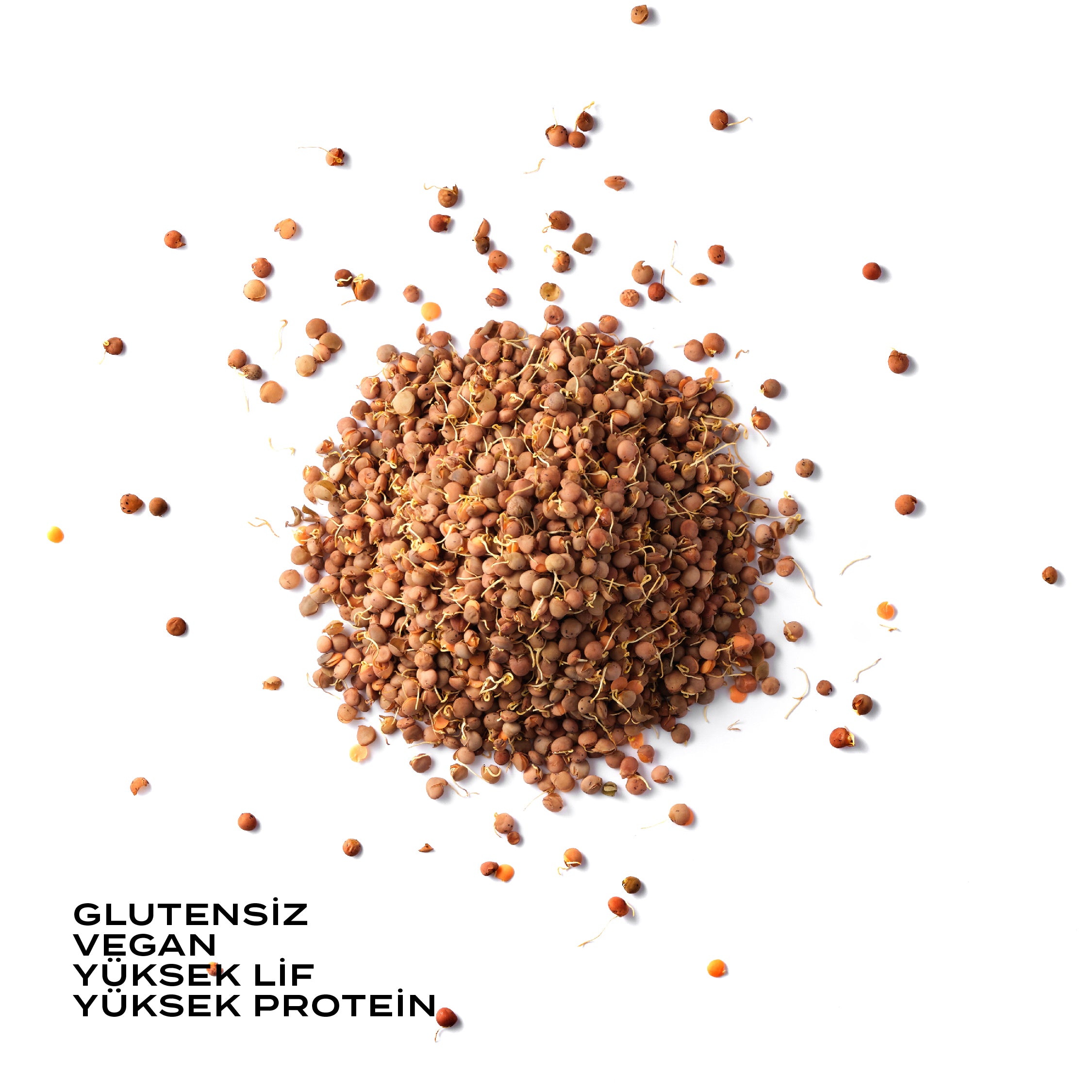 Filizlendirilmiş Kırmızı Mercimek